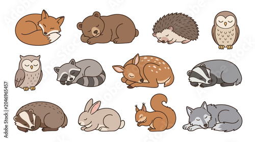 Canvas Print Cute Sleeping Forest Animals Collection