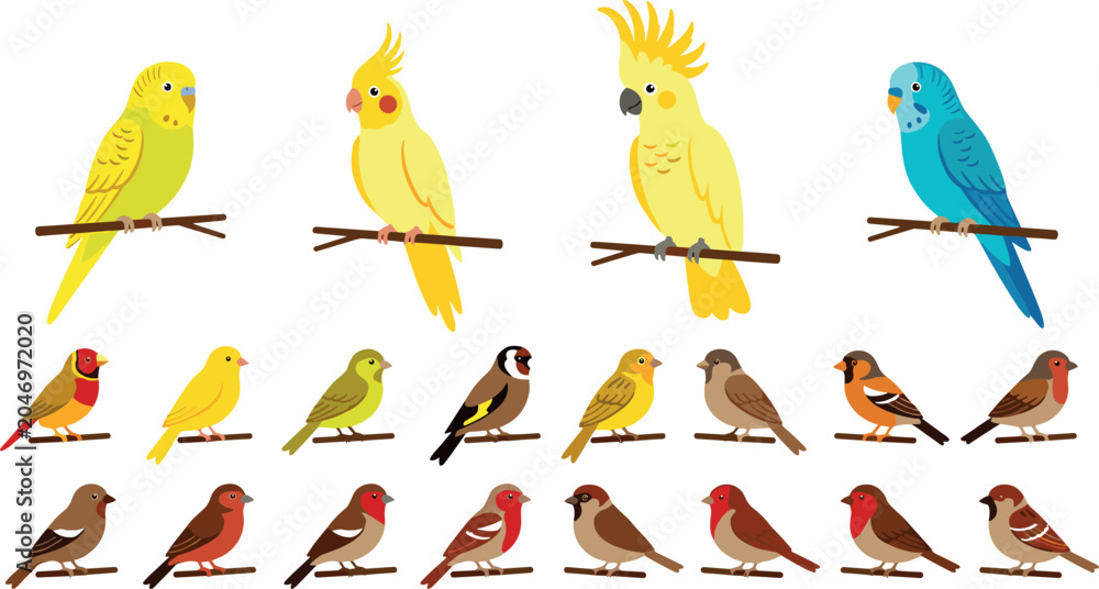 Fototapeta premium Collection of cute cartoon pet birds vector illustrations featuring colorful parrots budgies cockatiels cockatoos and various small perching finches and sparrows.