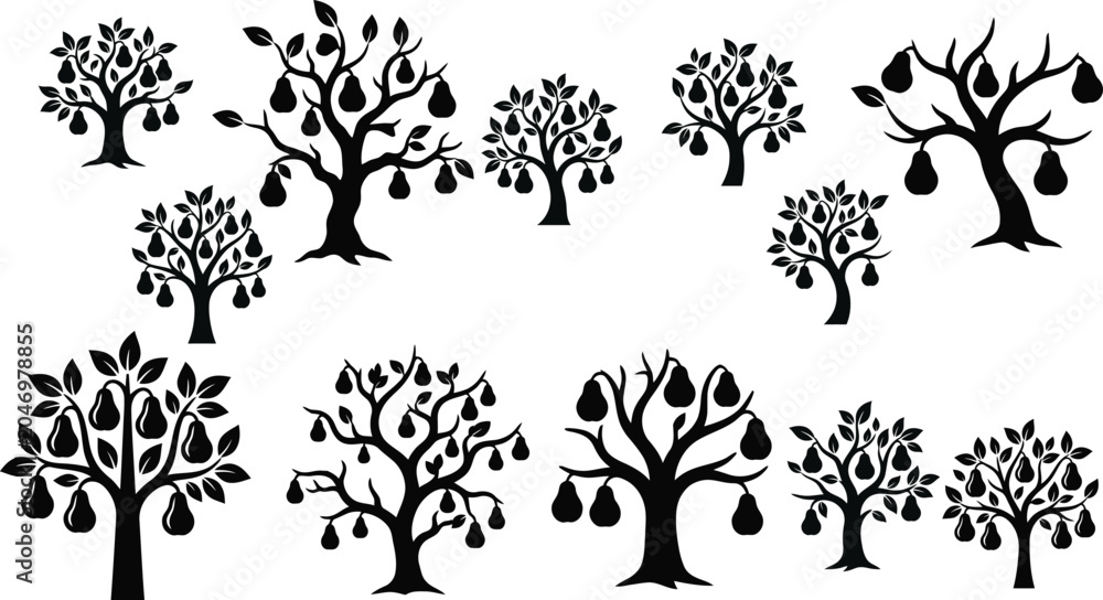 Fototapeta premium Pear trees with fruit black silhouette on white background