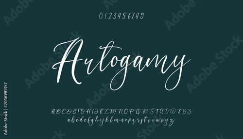Bild auf Leinwand signature Font Calligraphy Logotype Script Brush Font Type Font lettering handwritten