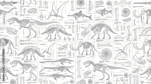 Tableau sur toile Dinosaur Skeletons and Prehistoric Animals Illustration Pattern - Vintage Style