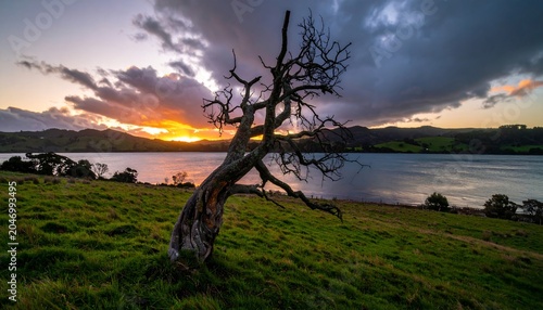Dead tree at sunset by lake.