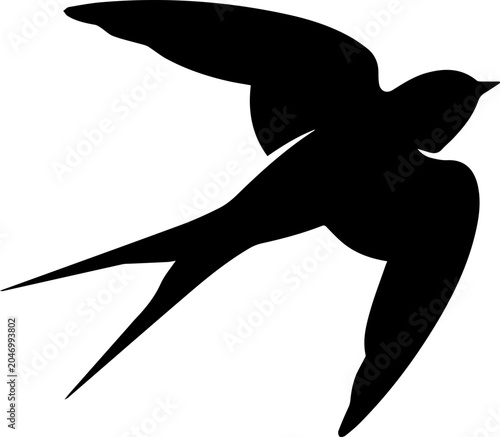 vector silhouette of a bird