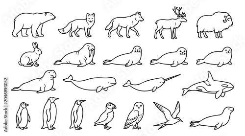 Bild auf Leinwand Minimalist arctic animal line icons, set of 21 polar wildlife vector illustratio