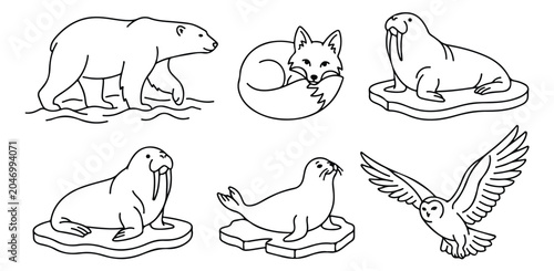 Obraz na płótnie Arctic animals line art collection, minimalist polar bear and walrus vector set,
