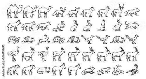 Photography Desert animals line icon set, 45 minimalist wildlife vector illustrations, black