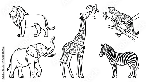 Photography African safari animals vector set, hand drawn wild animal line art illustrations