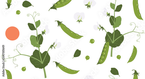 Seamless pattern of fresh green peas pea pods and delicate white flowers creates a natural and organic textile design.