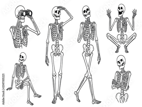Fotografia Cartoon skeleton character sheet featuring a detailed human bony mascot with a r