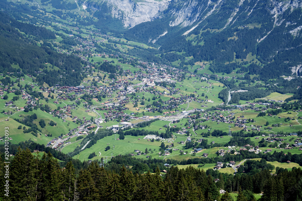 Fototapeta premium Switzerland, mountain ridges and woodland, with pasture, in august, wilderness scene