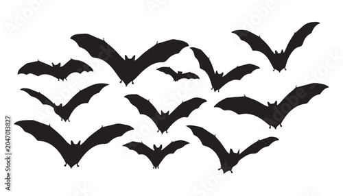 Foto black and white silhouette set of bats very high quality vector illustration