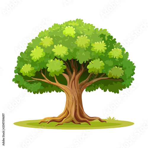 Foto Big shady green tree with thick roots vector illustration for traditional villag