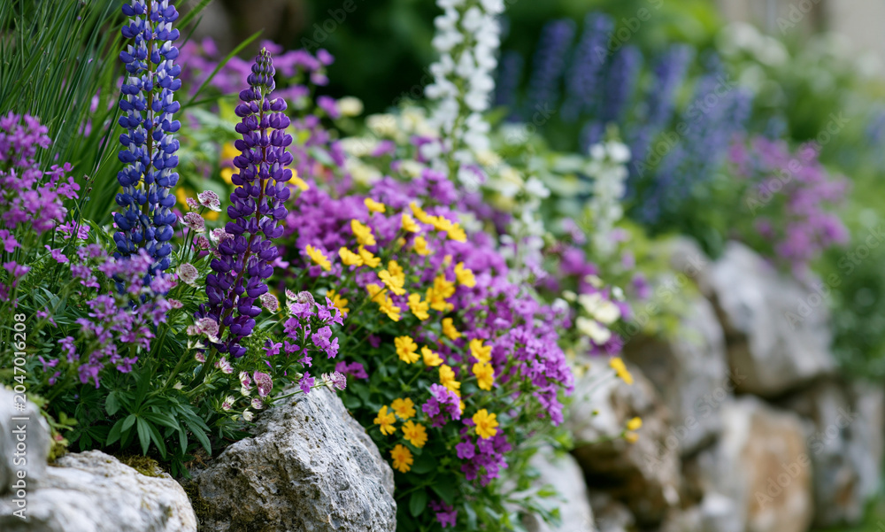 Obraz premium a wild garden
