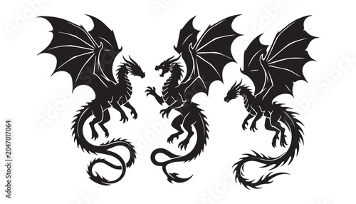 Schilderij op canvas black and white silhouette set of Mythical Dragon very high quality vector illustration