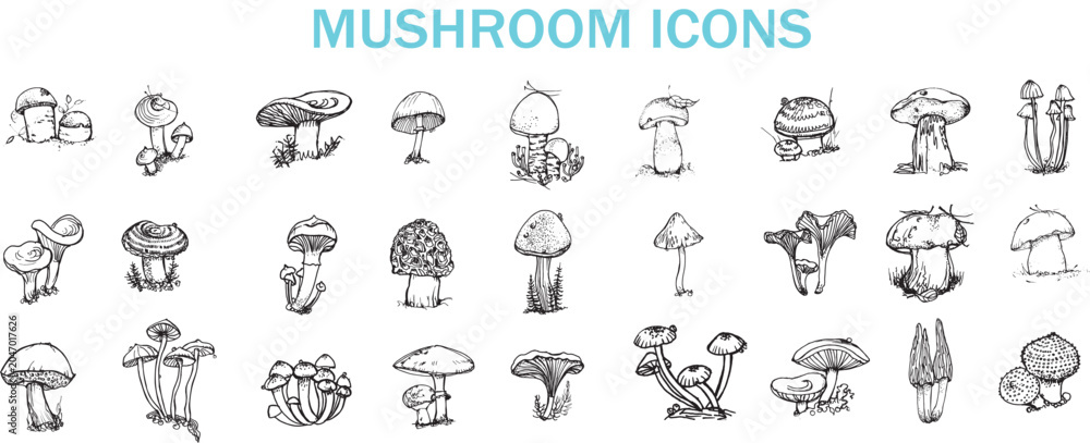 Fototapeta premium Mushroom collection vector icons. Hand drawn forest fungi and autumn engraving elements set