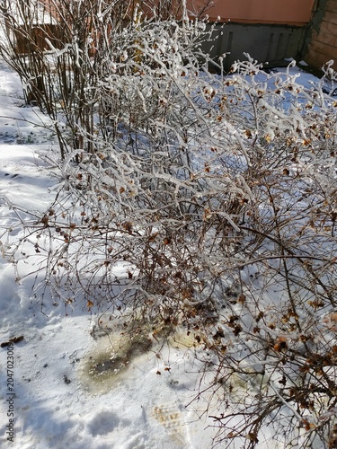 snow on the river