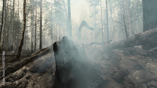 Dedicated Firefighter Carefully Digs Through Burned Debris As Sunlight Filters Through Smoky Branches . Stock clip