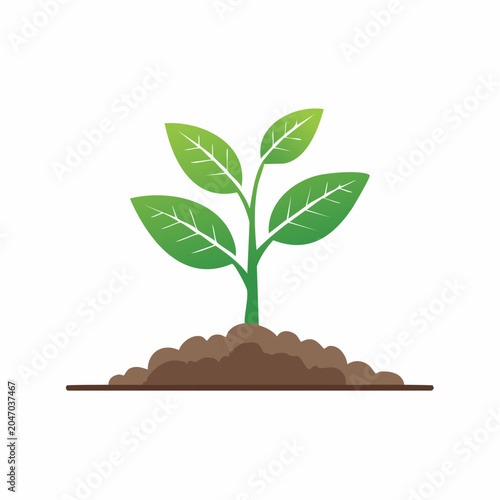 Green Sprout Growing from Soil