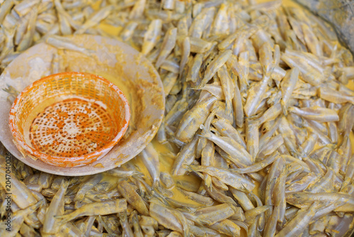Many small fish are coated in batter and ready to be fried.