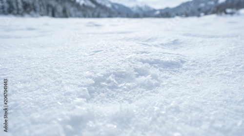 Snowy Landscape Wide Open Snow Cover Winter Scene in Natural Setting