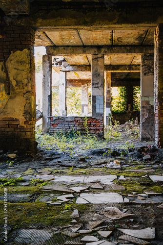Ruined interior of the abandoned Savane Sanatorium in Tskaltubo, Georgia, where nature slowly reclaims a Soviet-era landmark.