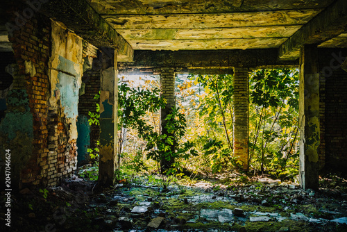 Ruined interior of the abandoned Savane Sanatorium in Tskaltubo, Georgia, where nature slowly reclaims a Soviet-era landmark.