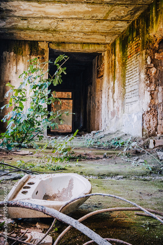 Discarded sink in the abandoned Savane Sanatorium, Tskaltubo, Georgia, amid decay, vegetation and crumbling Soviet-era interiors.