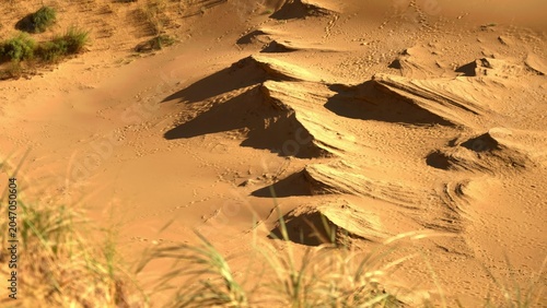 Εκτύπωση καμβά Sundrenched Dunes With Shadows, Serene Arid Landscape Featuring Windshaped Ridges And Footprints