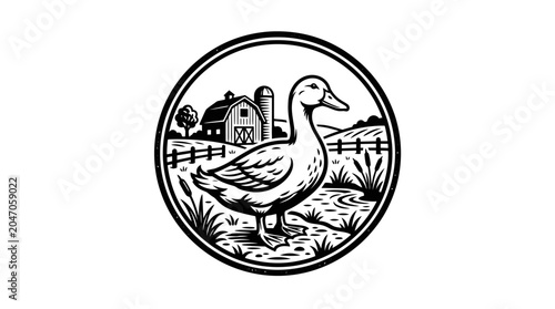 Obraz na plátně Black and white duck illustration standing.