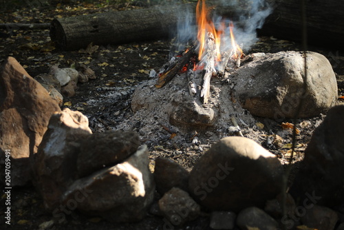A bonfire in the woods. The flame of a bonfire of sticks. Burning wood. Wild tourism.