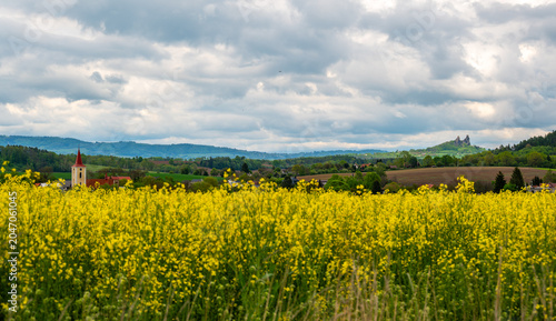 Photos Panoramic view of Cesky Raj landscape in Czech Republic dominated by Trosky Castle ruins