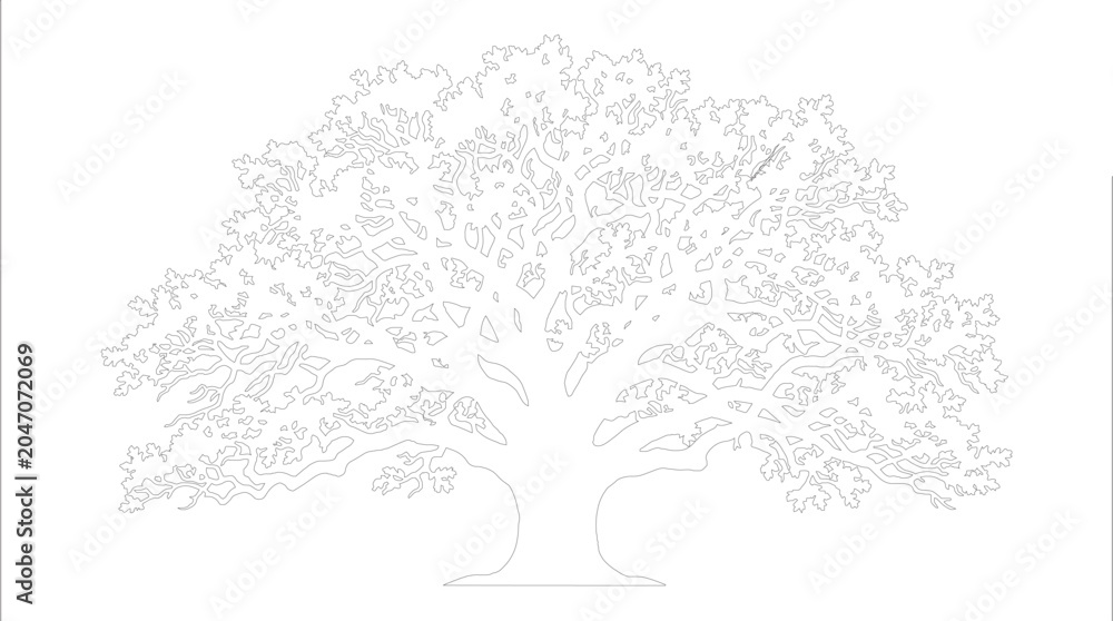 Fototapeta premium Minimalist oak tree outline vector, elegant white tree silhouette on white background, botanical line art for logo design and branding