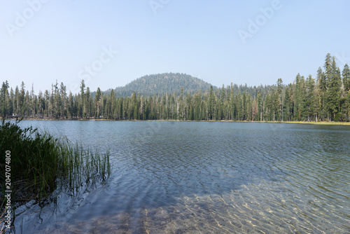Bilde på lerret Manzanita lake water with ripples reflecting a dense pine forest and a tree-cove