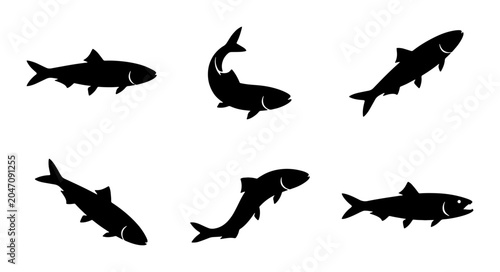 Foto Six Silhouette Fish Icons, Aquatic Life Vector Set, Seafood and Marine Animal Gr