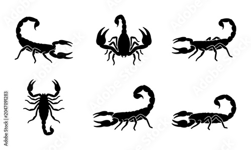 Tableau sur toile Scorpion Silhouettes, Arachnid Icons, Vector Graphics for Wildlife and Danger Th
