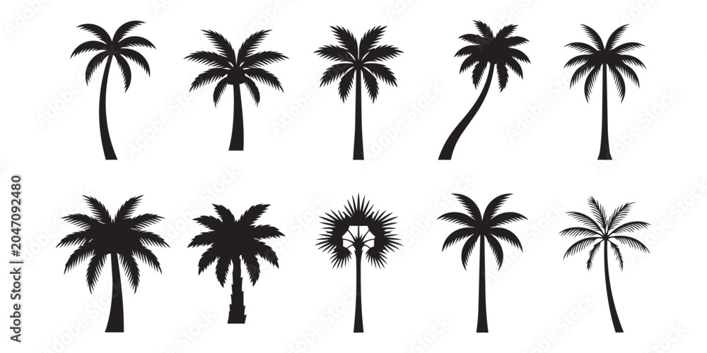 Obraz premium Silhouette of Palm Tree Fronds Against a White Background, Tropical Vector Art