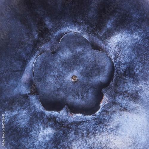Canvastavla Extreme macro texture of fresh ripe blueberry