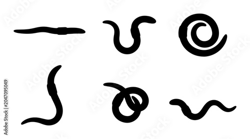 Konstfotografi Worm Vector Icons: Simple Black Earthworm Shapes, Organic Forms, Garden Critters