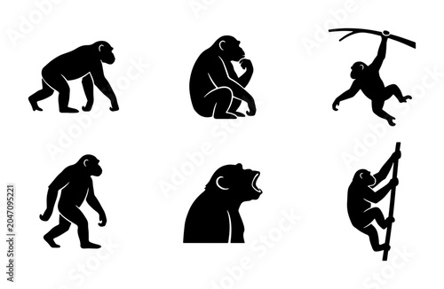 Canvas Print Primate Silhouette Icons: Chimpanzee, Ape, Monkey Poses, Vector Graphics Set