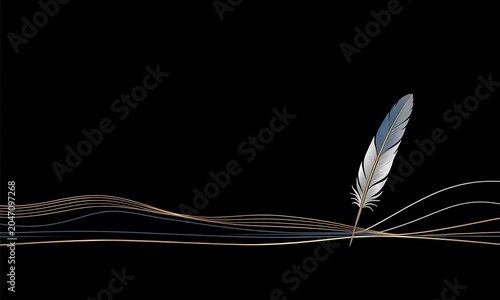 feather on black background