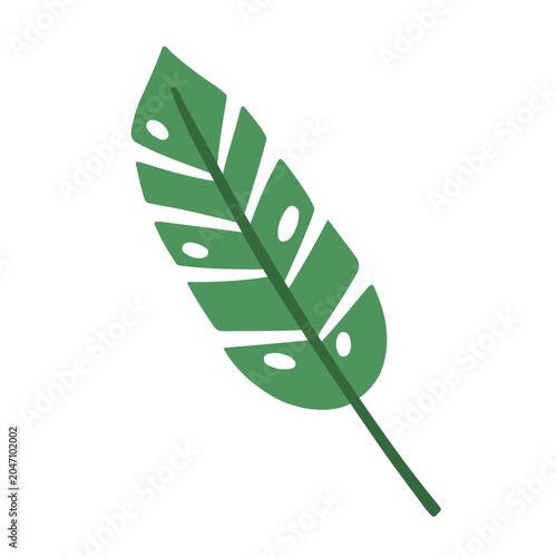 Tropical green leaf. Exotic jungle plant, greenery. Long large foliage decora...