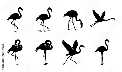 Fotografie Flamingo Silhouettes Vector Set, Elegant Bird Poses, Tropical Wildlife Graphics,