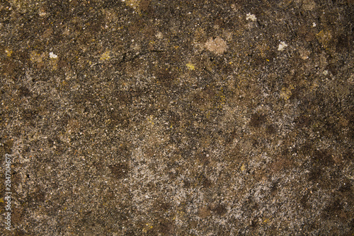 Fotografie Brown concrete wall, grunge stone texture, rock surface background, wide panoram