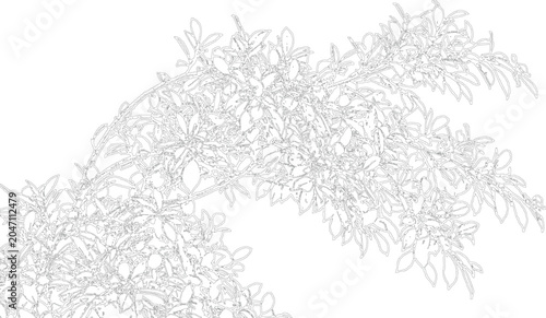 Foto Ornate floral design with intricate leaf patterns in monochrome outlines, suggesting delicate botanical artistry for decorative purposes