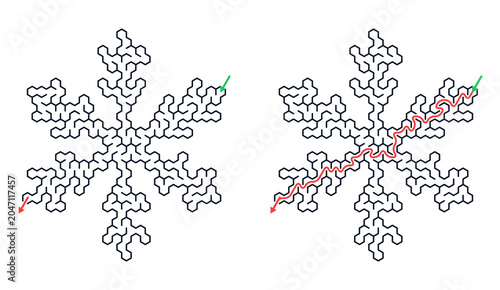 Maze puzzle in the shape of a snowflake with two pathways  