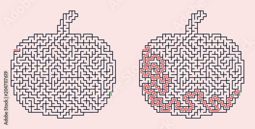 Labyrinth puzzle in the shape of a pumpkin with outlined paths  