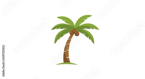 Palm tree with green leaves standing.