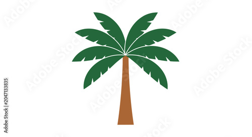 Palm tree with green leaves.