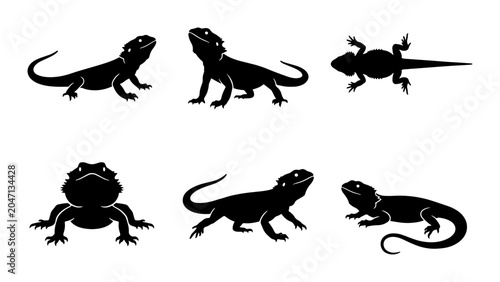 Foto Bearded Dragon Silhouettes, Reptile Vector Icons, Lizard Animal Graphics, Pet Wi