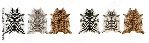 Collection of animal print rugs, zebra and giraffe skin patterns isolated on transparent background